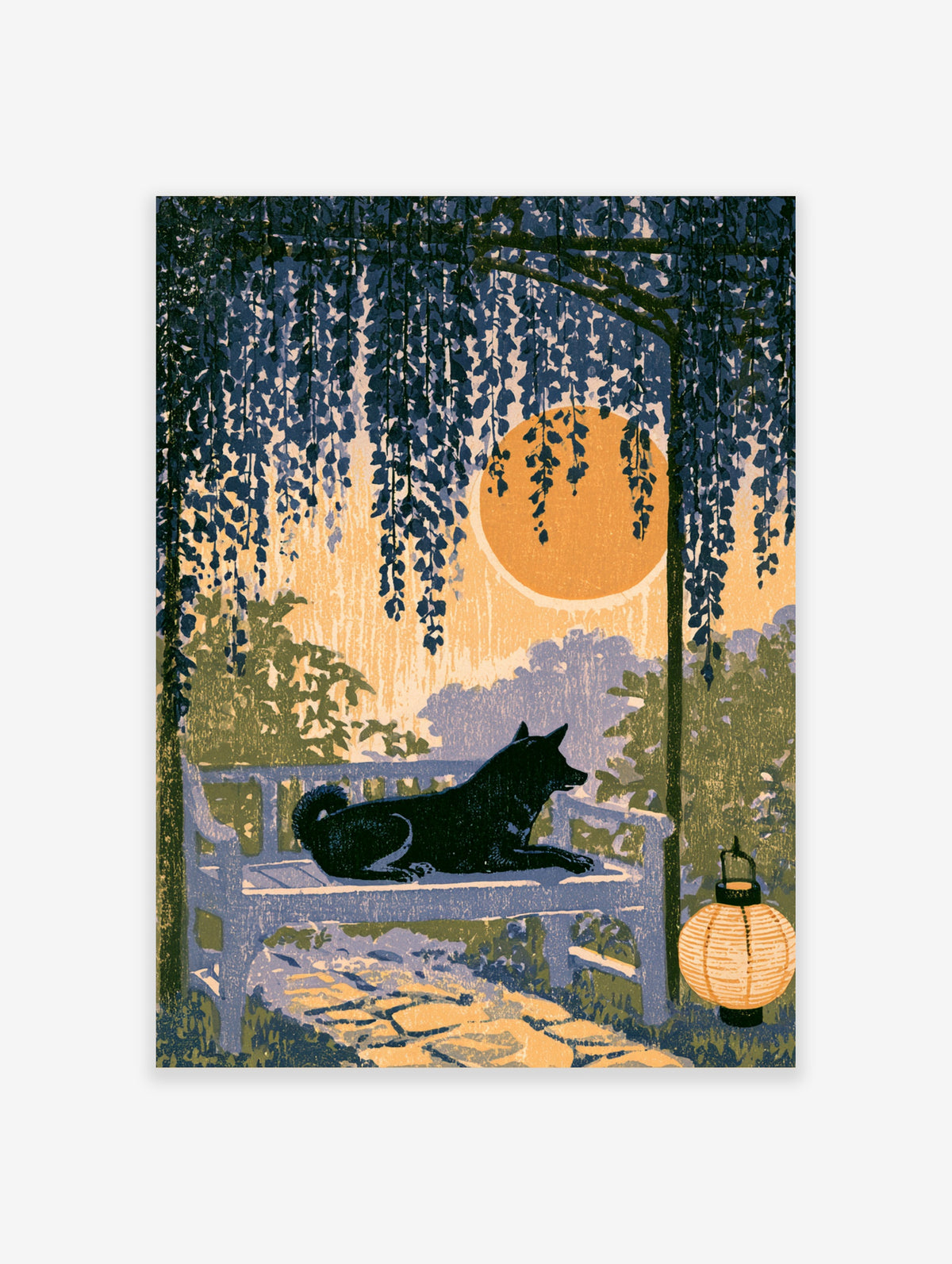 Black dog on a garden bench under wisteria with a large orange sun and paper lantern