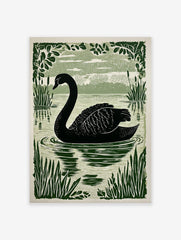 Black swan swimming in a lake, surrounded by green reeds and leafy branches in an illustrative style