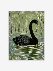 Black swan linocut style art print swimming in a lake with green reeds and white flowers