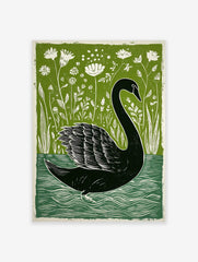 Black swan linocut print on water with green botanical foliage and white flowers in background