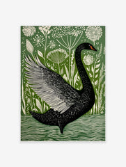 Black swan with fanned wing in illustrative green and white botanical art print, swimming in water