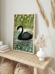 Black swan swimming in water with white ripples, surrounded by tall green reeds and white, in an alternate framed mockup