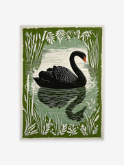 Black swan swimming in a pond, framed by green reeds and leaves, in an illustrative print style