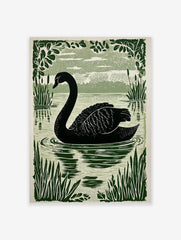 Black swan linocut print swimming in a lake with dark green reeds and foliage, light green background