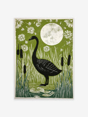 Black swan standing in a pond with white reeds, lily pads, and flowers under a full moon on a green background