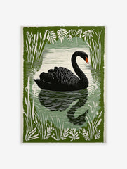 Illustrative black swan swimming on water, framed by green cattails and leaves, with a reflection below