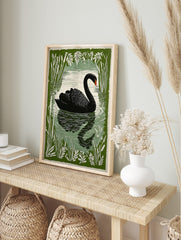 Illustrative black swan swimming on water, framed by green cattails and leaves, with a, in an alternate framed mockup