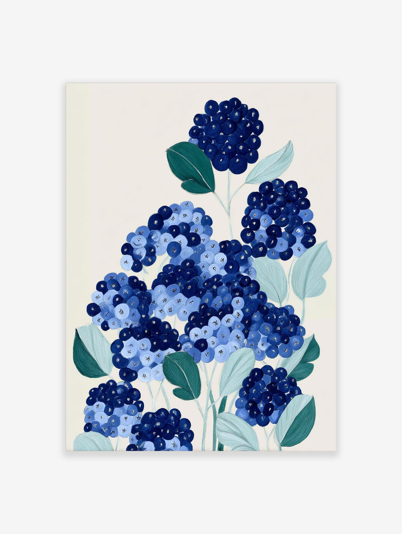 Blue hydrangea botanical illustration print with navy and light blue flowers, green leaves, and white text on petals