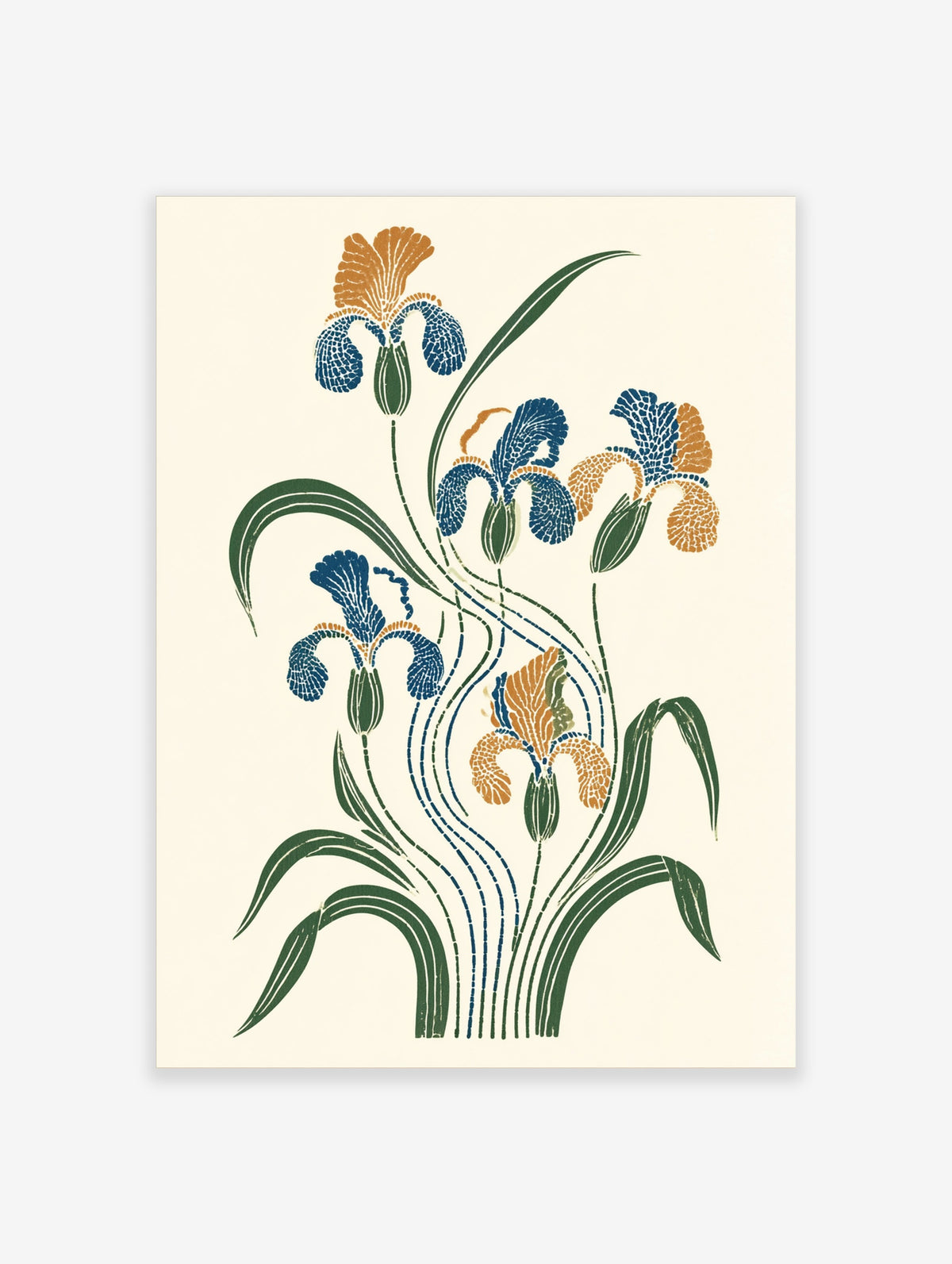 Blue and orange iris flower botanical illustration art print on cream background