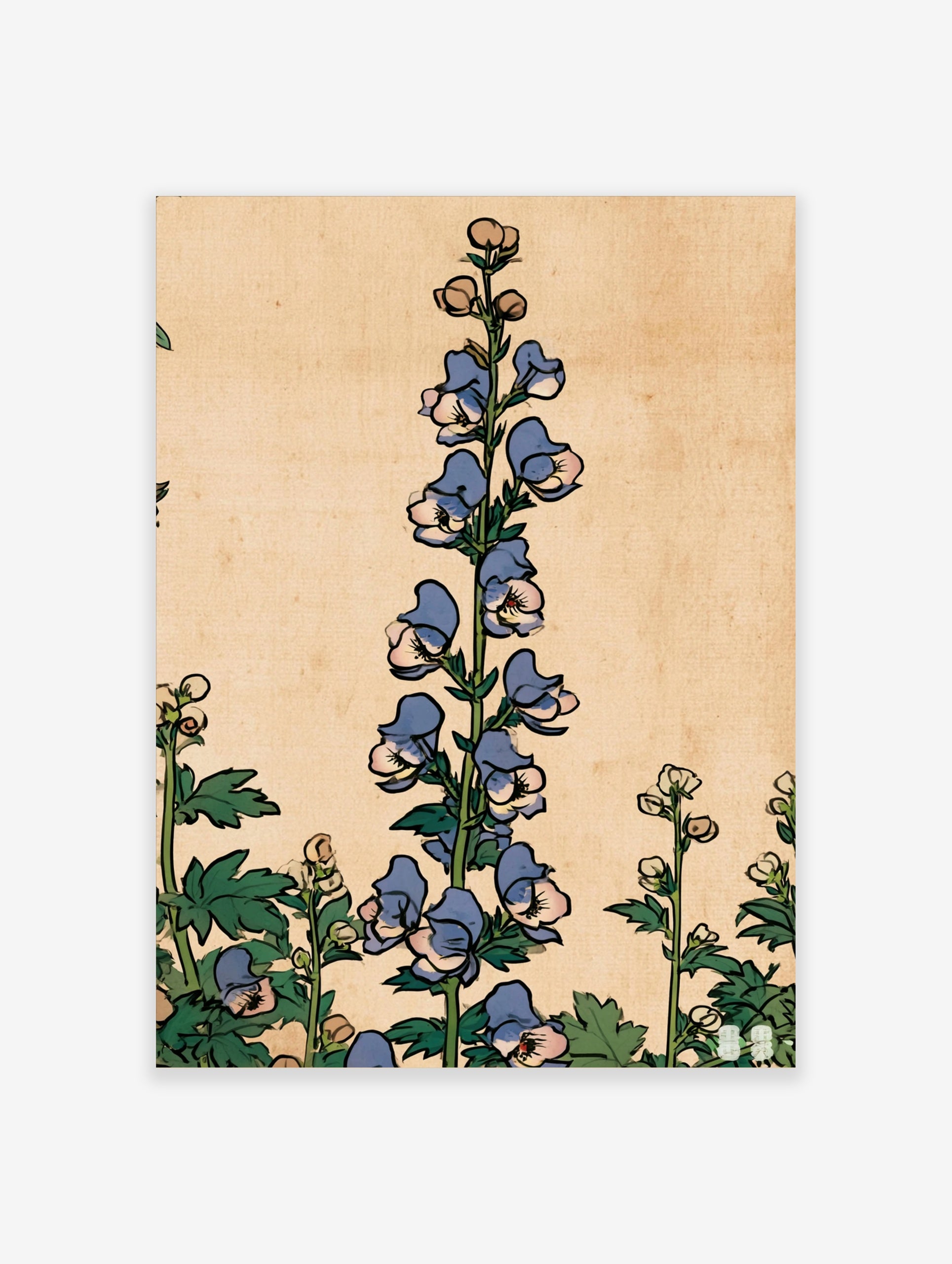 Vintage botanical illustration of blue monkshood flowers with green leaves on a tan background