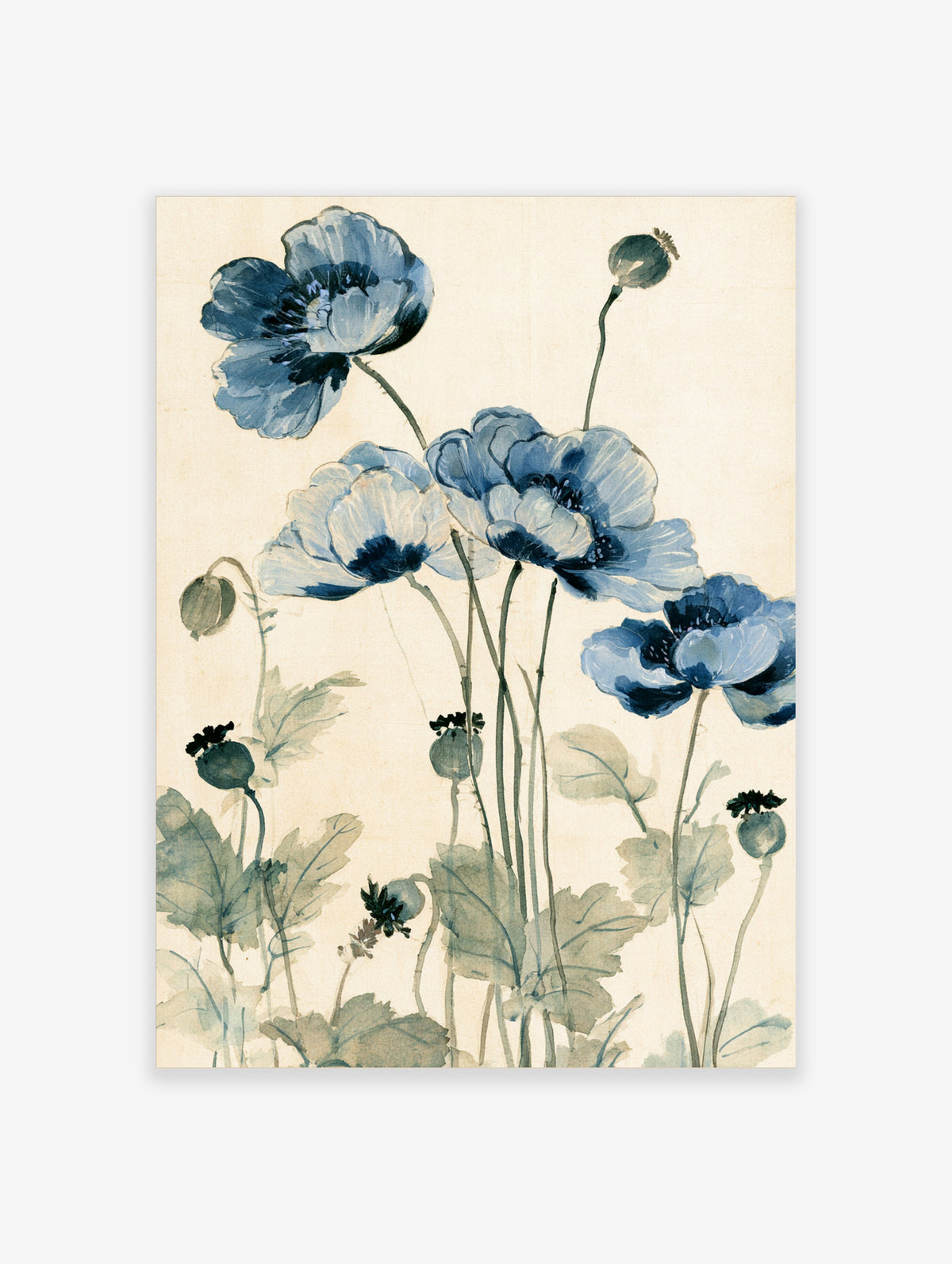 Blue poppy watercolour art print with open blooms, seed pods and green stems on cream background