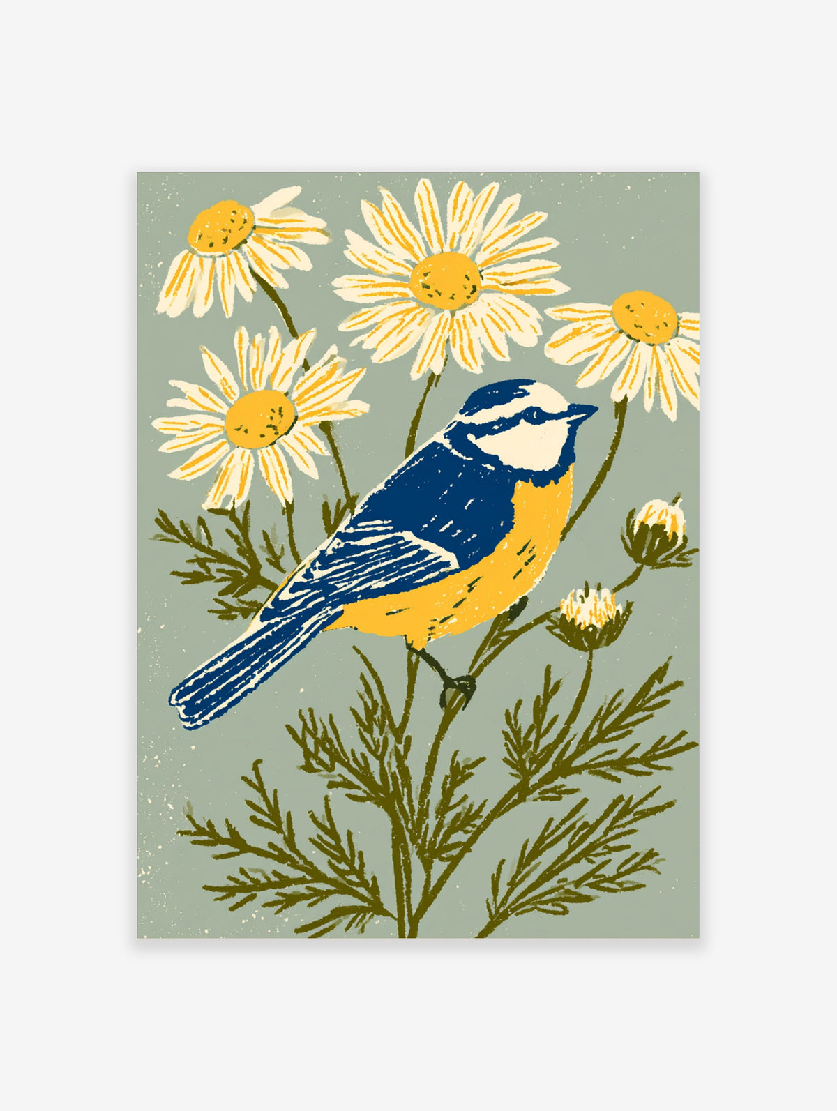 Blue tit bird perched on a stem with white and yellow daisies on a sage green background, botanical art print