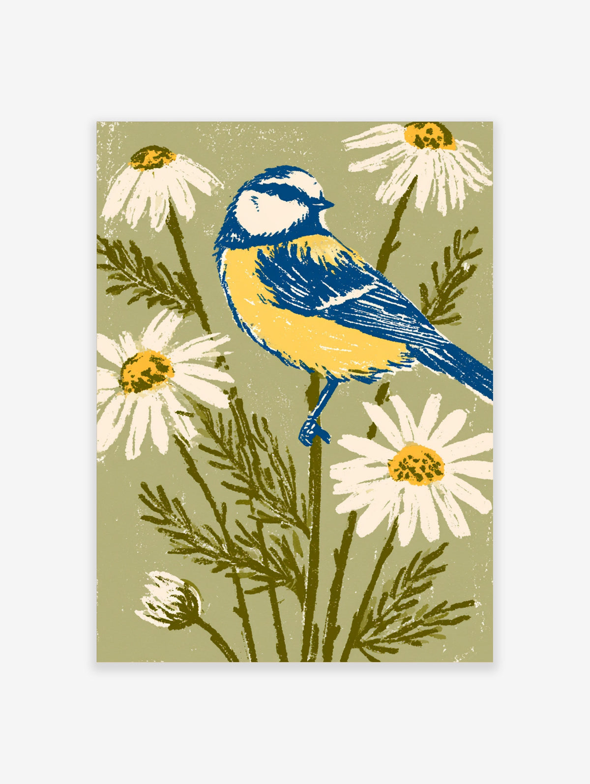 Blue tit bird perched among white daisies and green foliage on a sage background art print