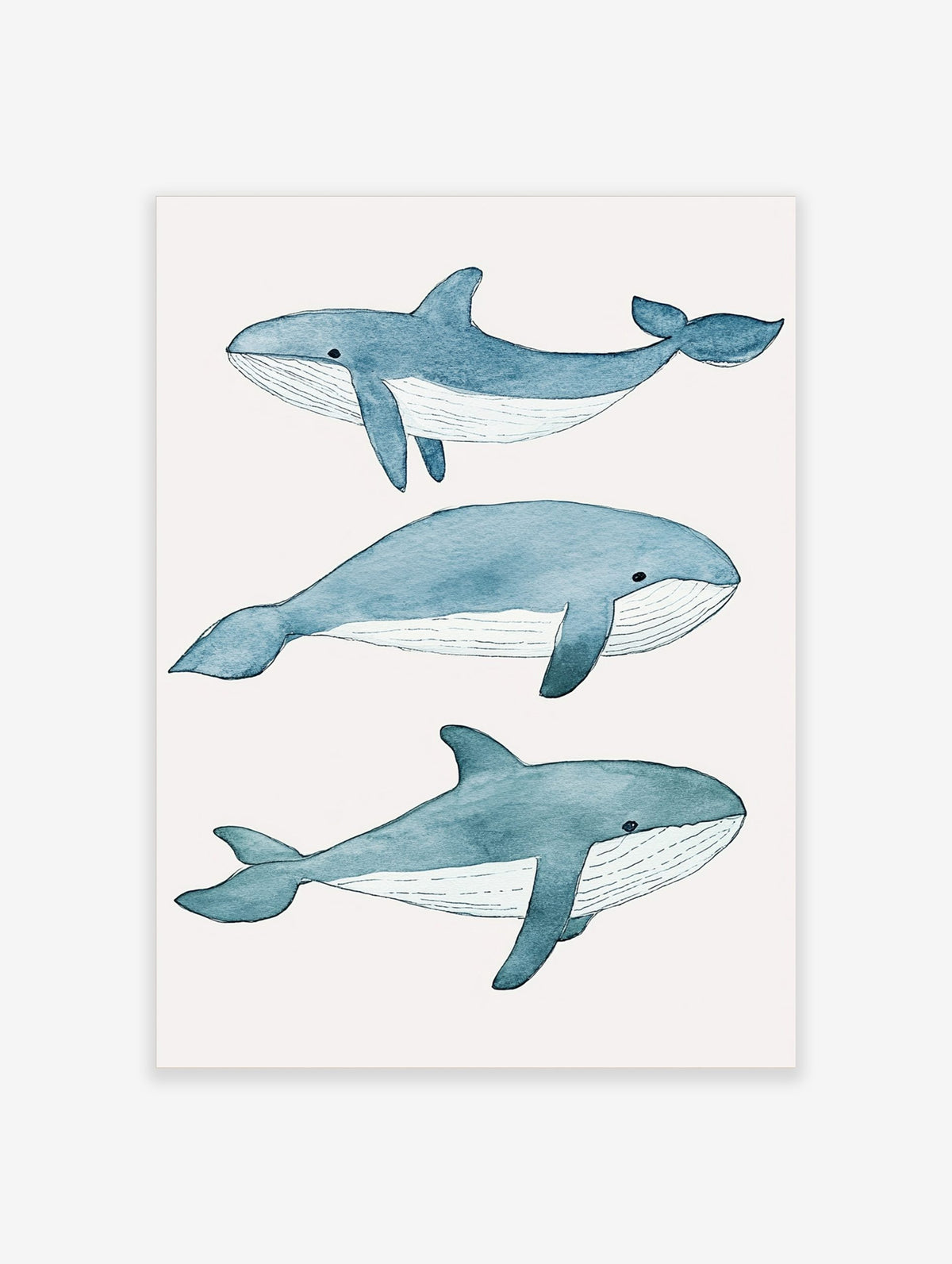 Three illustrative blue whales in watercolour style on a white background, arranged vertically