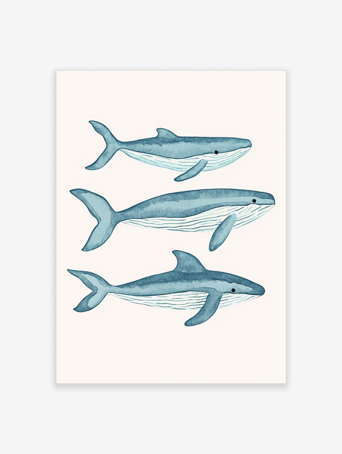 Three blue watercolour whale illustrations, swimming right on a white background, with visible fins and pleats