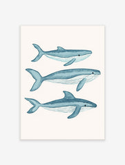 Three blue watercolour whale illustrations, swimming right on a white background, with visible fins and pleats