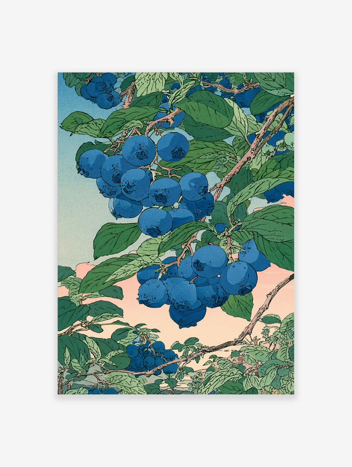 Blueberry branch illustration with blue berries and green leaves against peach sky