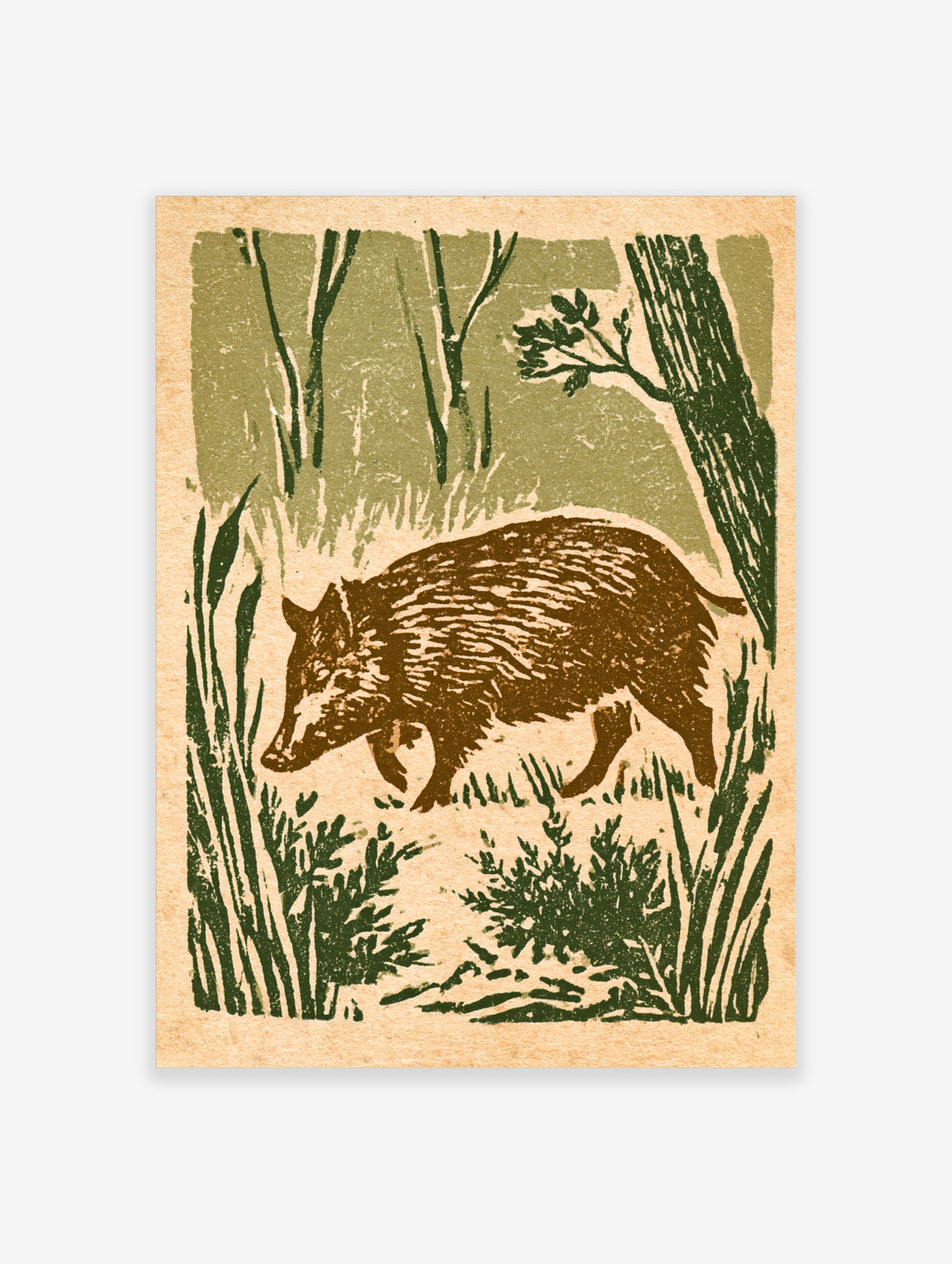 Vintage-style boar poster with brown wild boar walking through green woodland grasses and trees