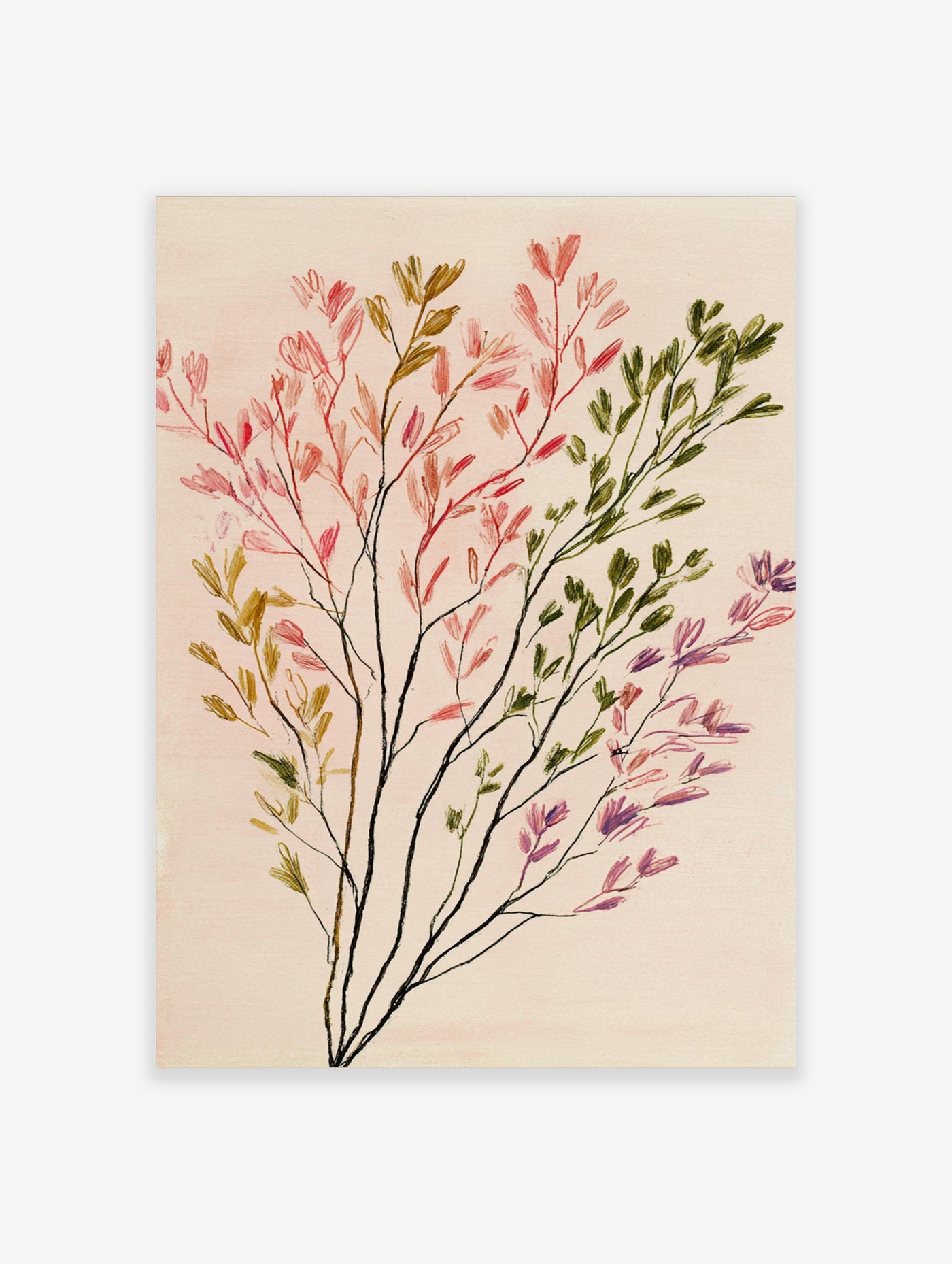 Colourful botanical branch illustration with pink, green, yellow, purple leaves on beige background