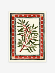 Botanical branch illustration with red berries and a geometric red border on a white background