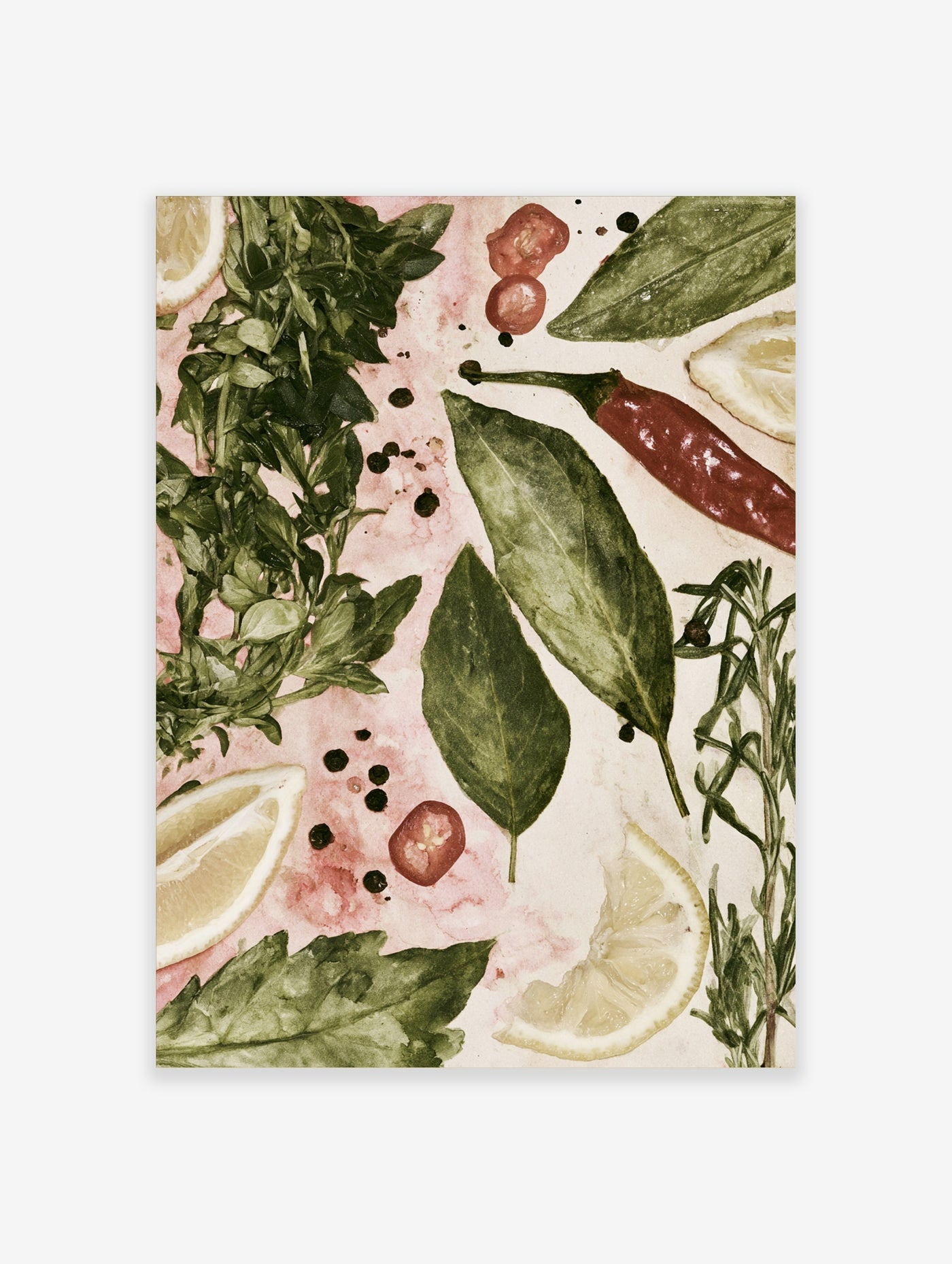 Botanical culinary print with fresh herbs, lemon slices, and red chillis on a pale pink textured background