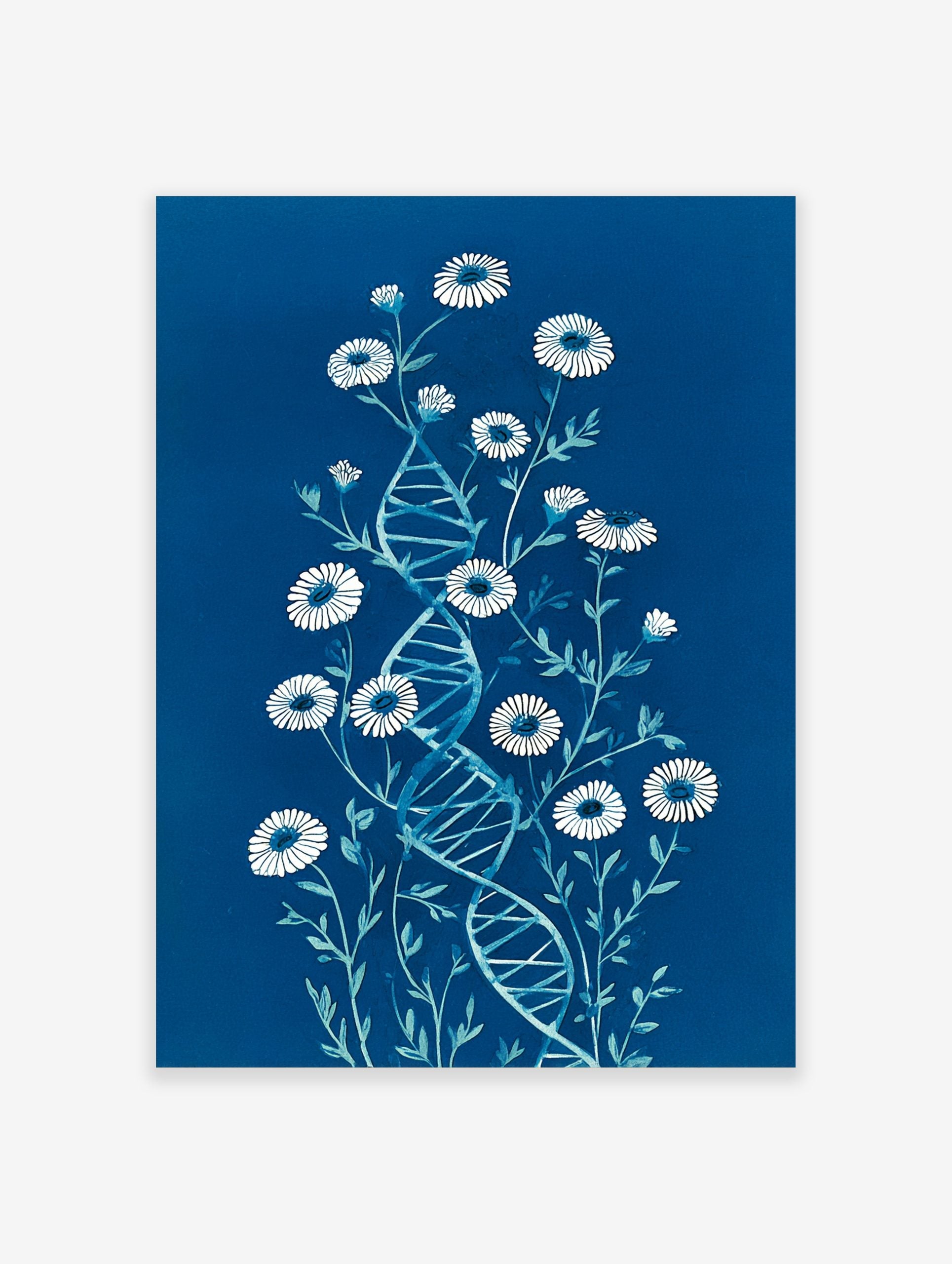 Botanical DNA illustration with white daisy-like flowers and a blue double helix on a dark blue background