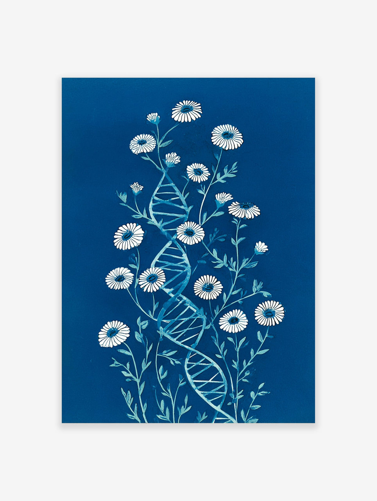 Botanical DNA illustration with white daisy-like flowers and a blue double helix on a dark blue background