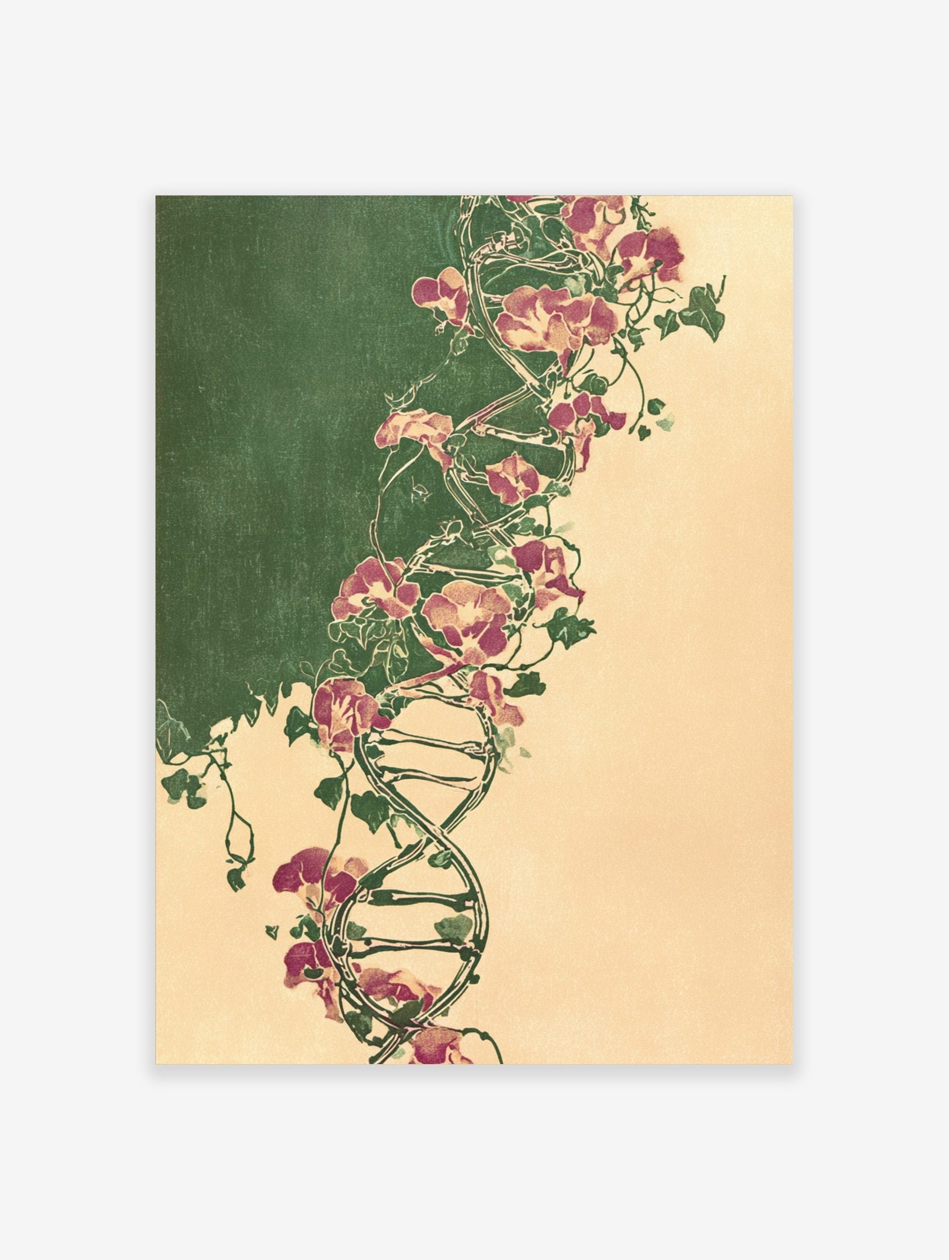 Illustrative botanical DNA double helix entwined with purple sweet pea flowers and green vines on split green and beige