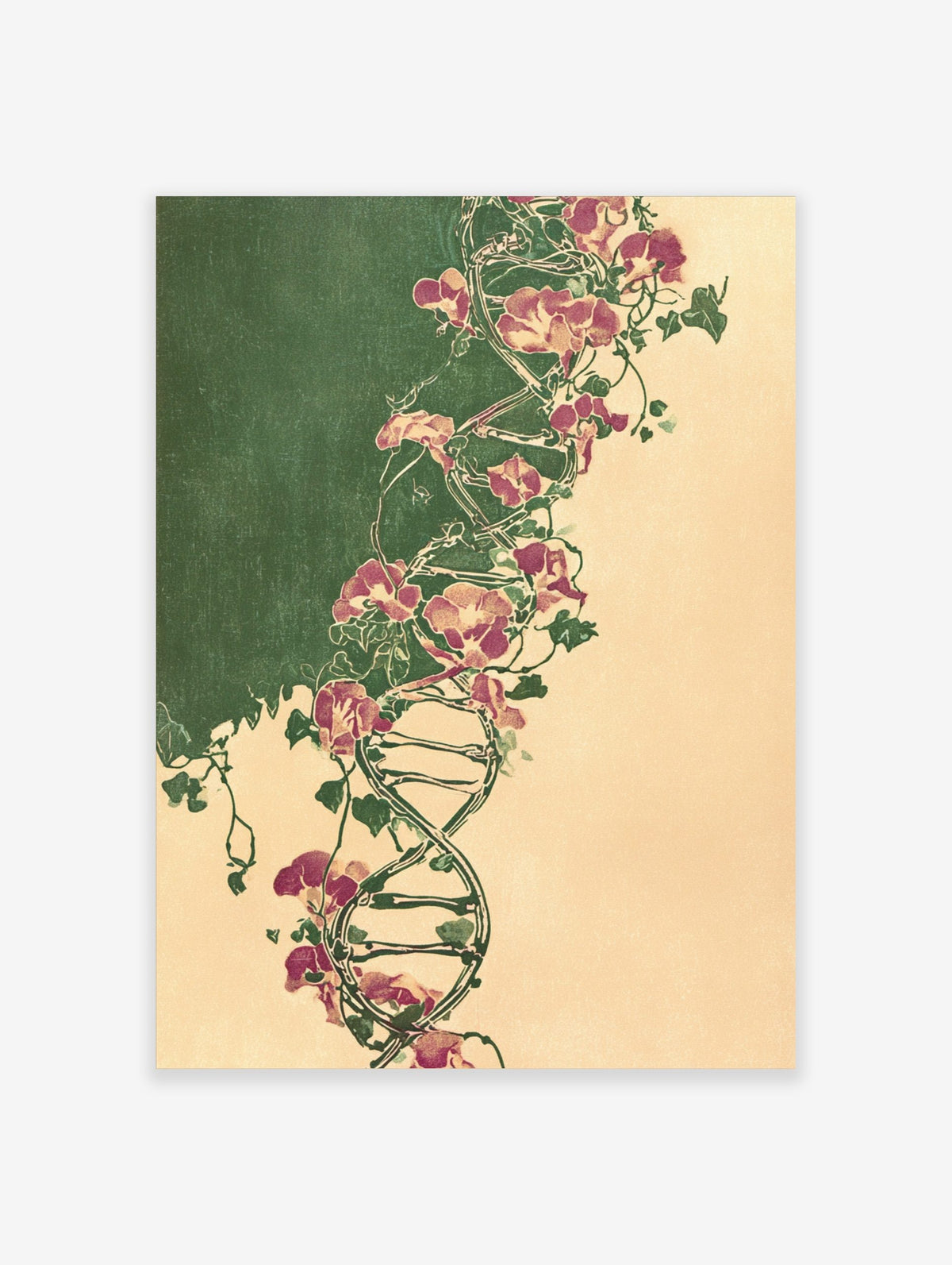 Illustrative botanical DNA double helix entwined with purple sweet pea flowers and green vines on split green and beige
