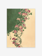Illustrative botanical DNA double helix entwined with purple sweet pea flowers and green vines on split green and beige