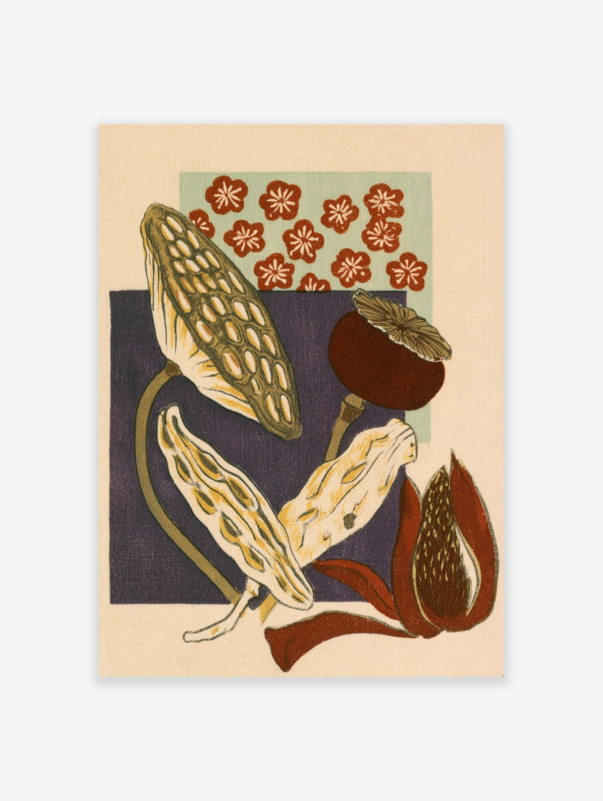 Botanical illustration of dried seed pods and small red flowers against purple and green geometric shapes