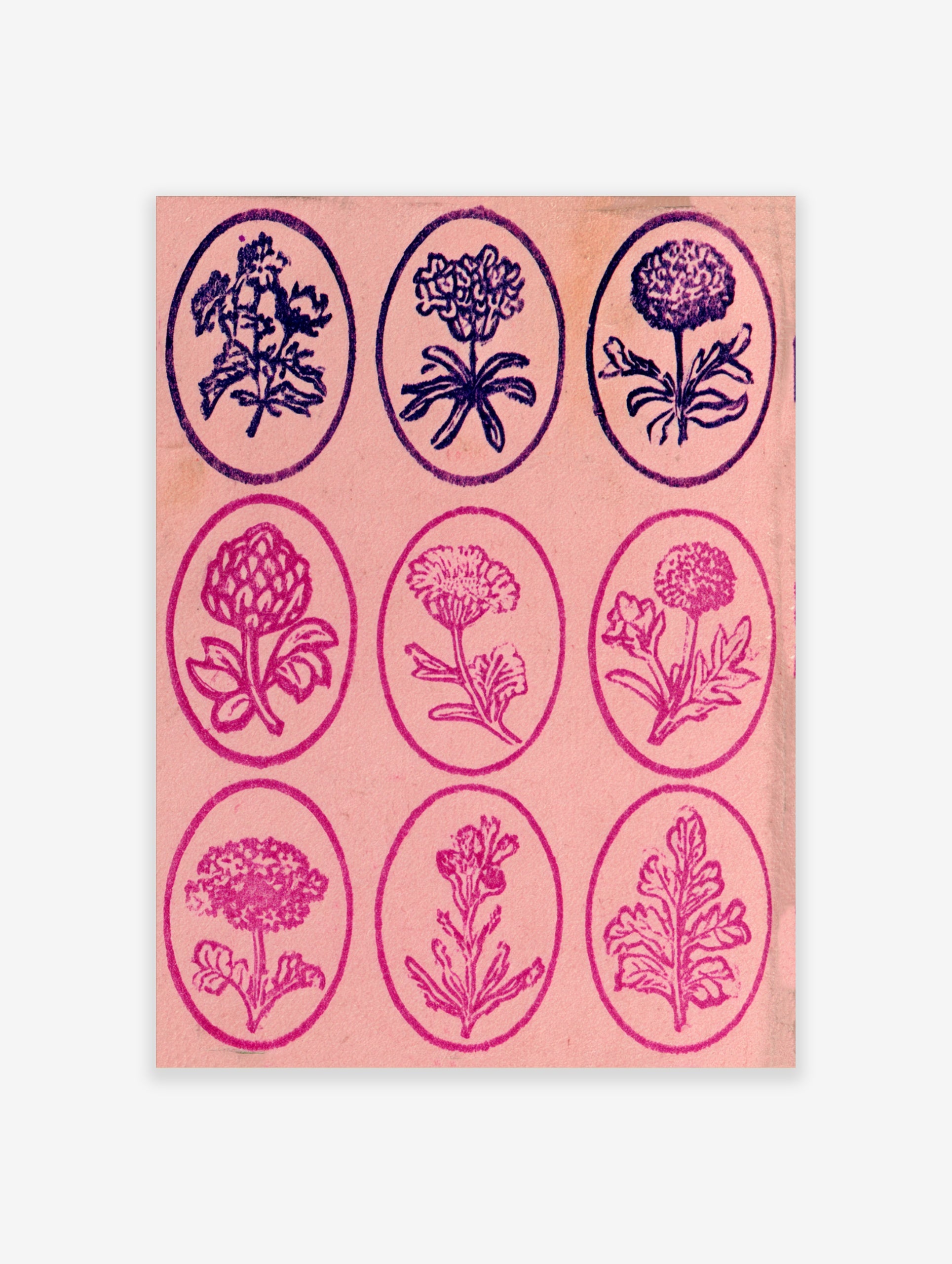 Vintage-style grid of nine botanical flower illustrations in oval frames on a pink background, floral wall art print