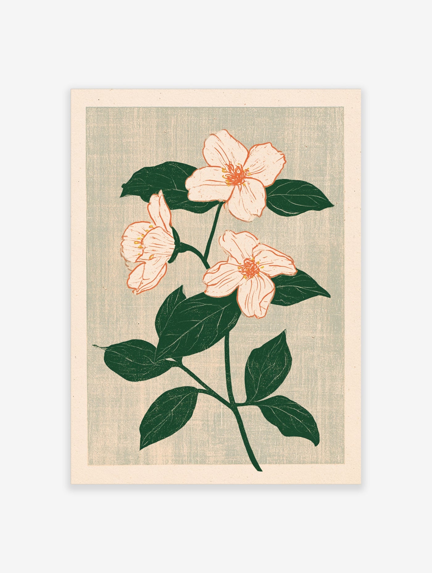 Botanical illustration featuring three soft pink flowers with green leaves on a textured light grey-green background