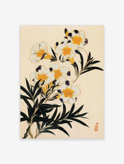 Botanical illustration of white flowers with yellow centres, dark purple accents, and green leaves on cream background