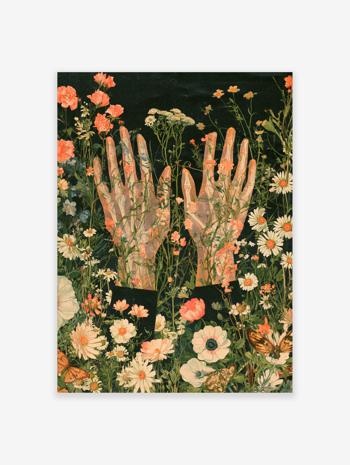 Skeletal hands surrounded by wildflowers and butterflies on a black background, botanical art print