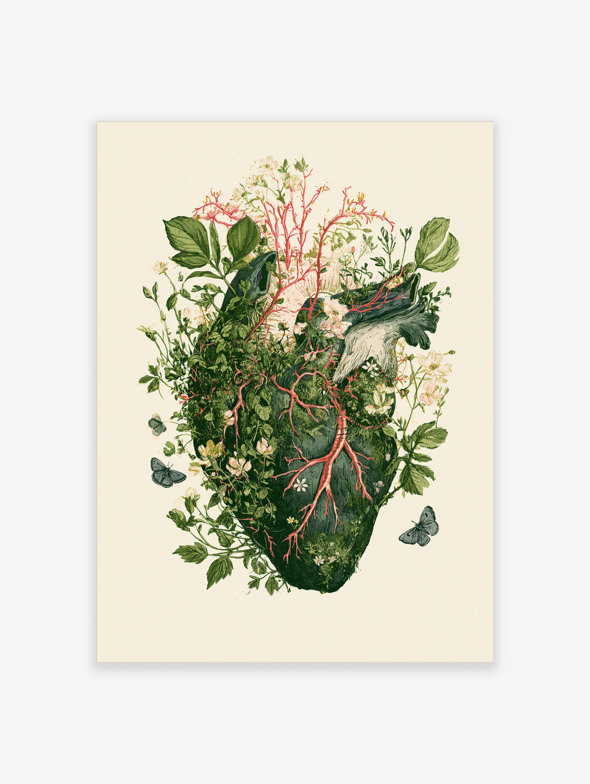 Botanical heart illustration with green foliage, red branching veins, and blue butterflies on cream background