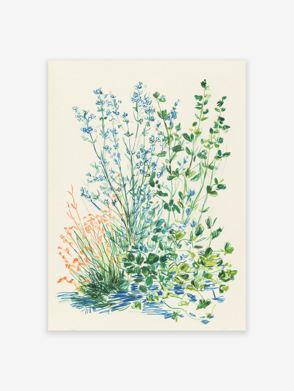Botanical illustration art print of blue flowers, green herbs, and orange grasses on an off-white background.