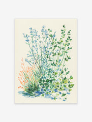 Botanical illustration art print of blue flowers, green herbs, and orange grasses on an off-white background.