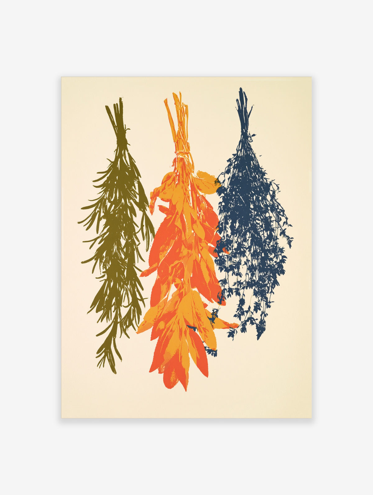 Three bundles of hanging herbs in olive green, orange, and navy blue illustration on an off-white background