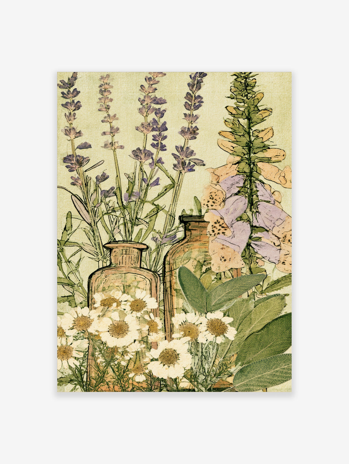 Botanical herb art print with lavender, foxgloves, chamomile and sage in vintage glass bottles