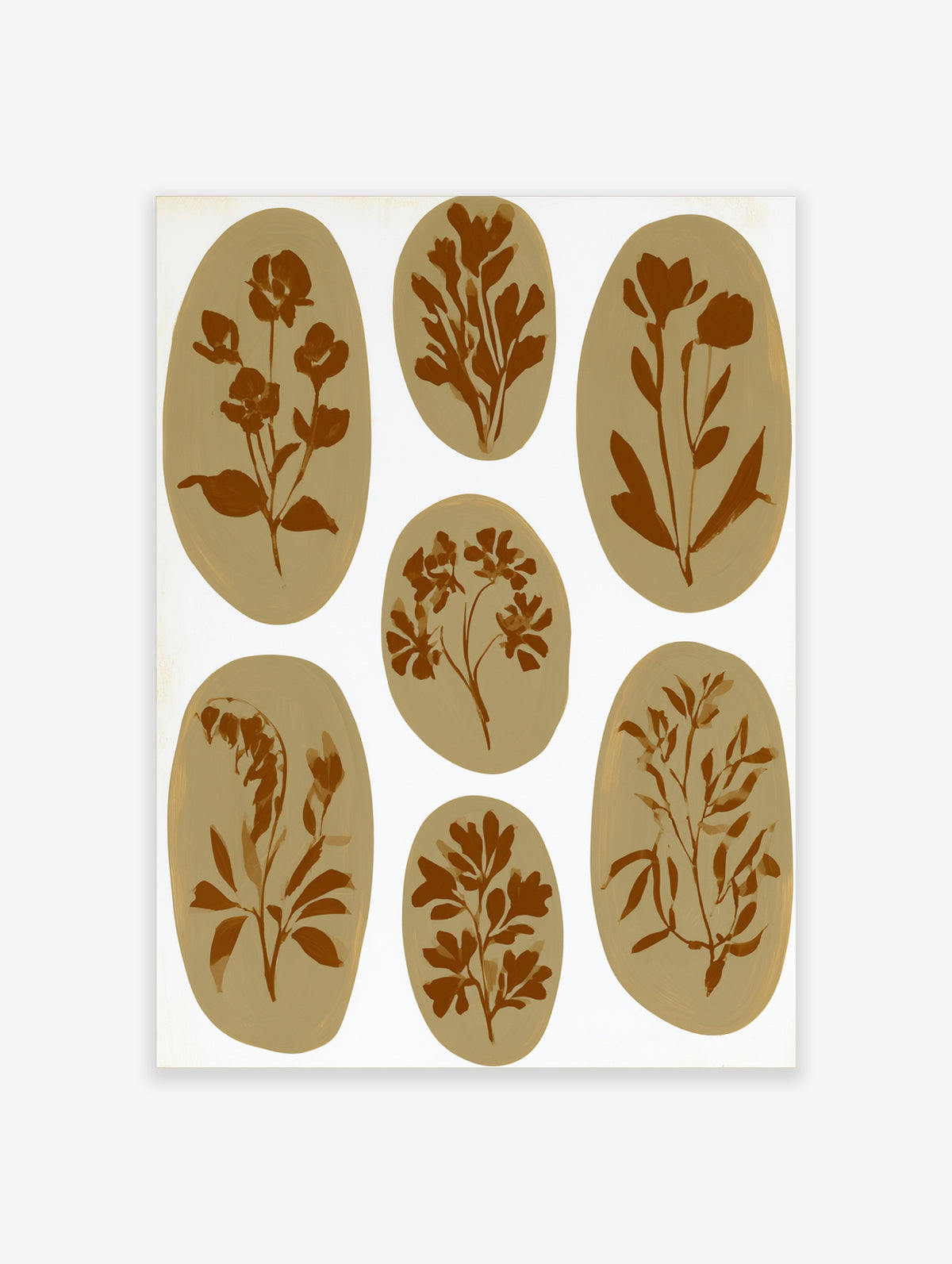 Seven brown botanical illustrations in oval shapes on a white background