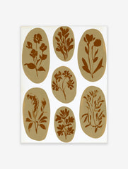 Seven brown botanical illustrations in oval shapes on a white background