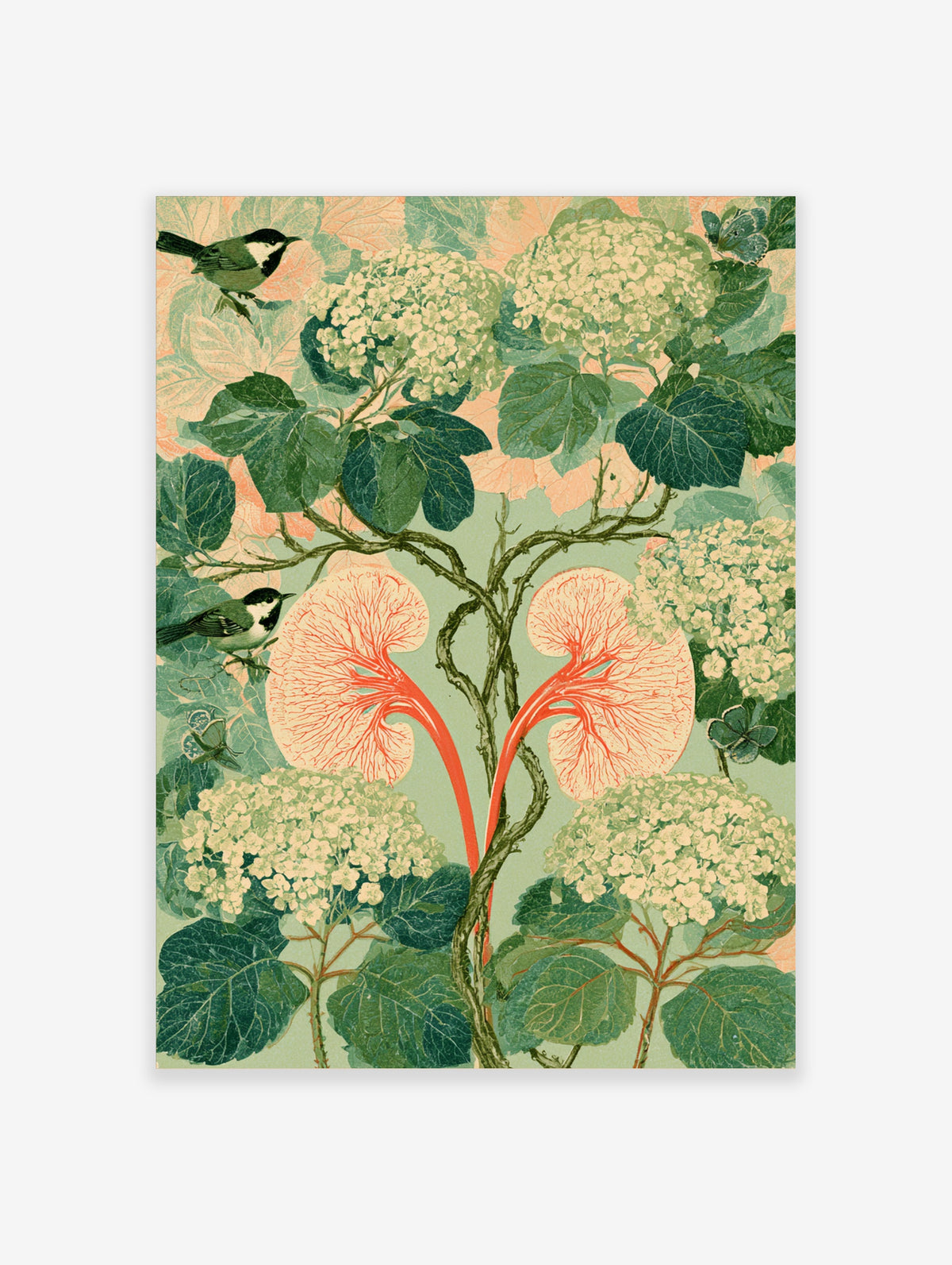 Surreal botanical art print of red kidney anatomy with hydrangea flowers and two chickadees