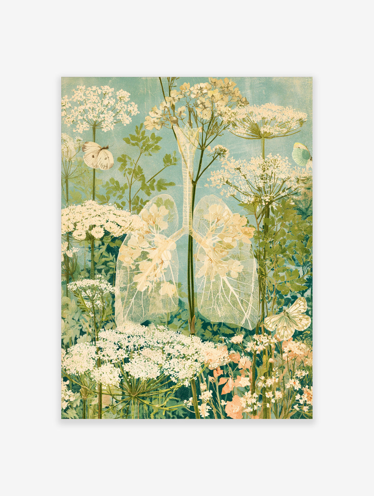 Botanical lace wing poster with cow parsley, green stems, and two white butterflies on a pale blue background