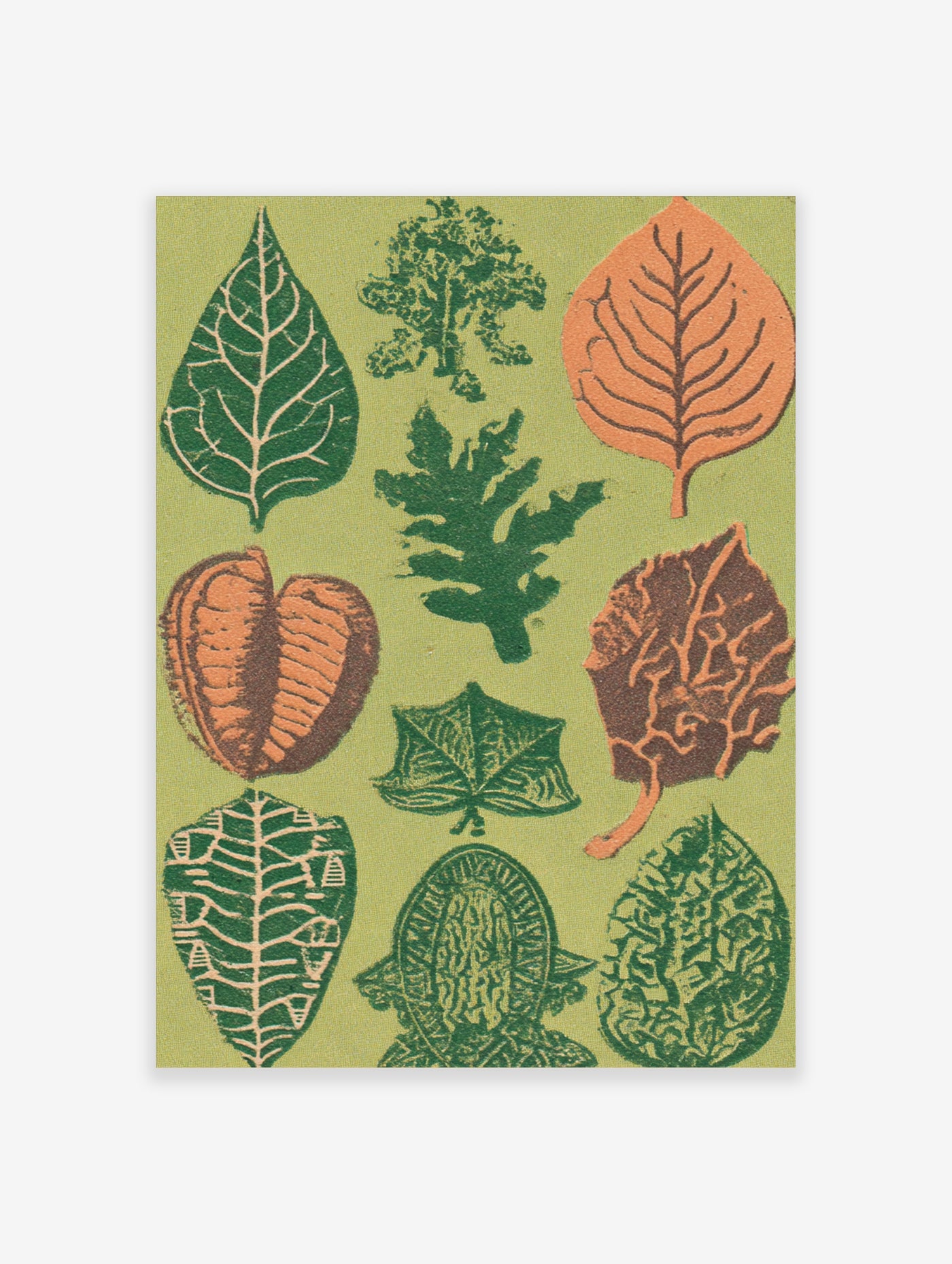 Vintage botanical leaf poster with green and orange leaves on green background