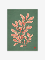 Botanical illustration of a leafy plant with pale pink leaves and red veins on a teal background with red dot