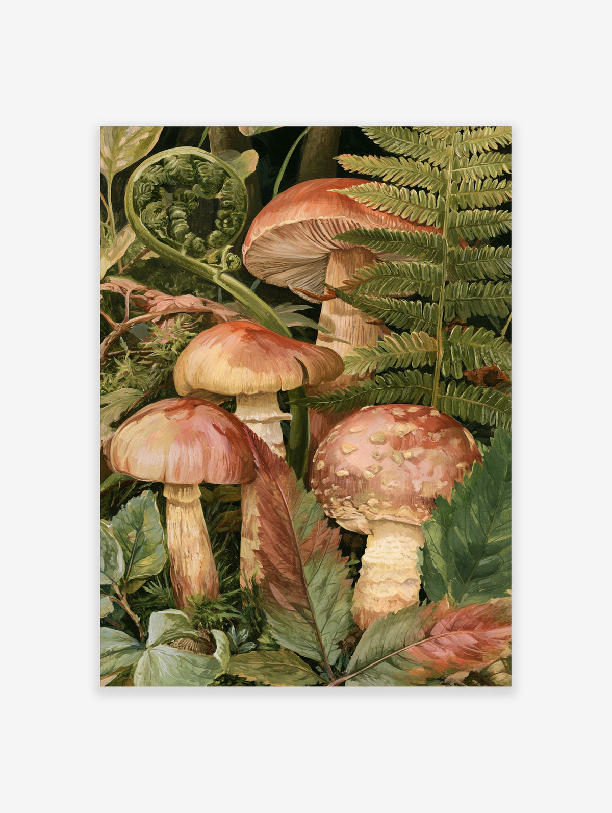 Detailed botanical illustration of mushrooms and ferns on a dark background, earthy tones, forest floor art print