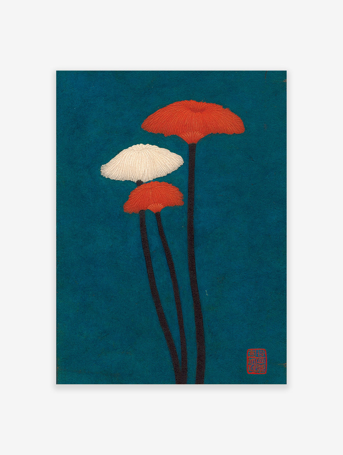 Illustrative botanical print of three red-orange and white mushroom-like fungi on a deep teal background