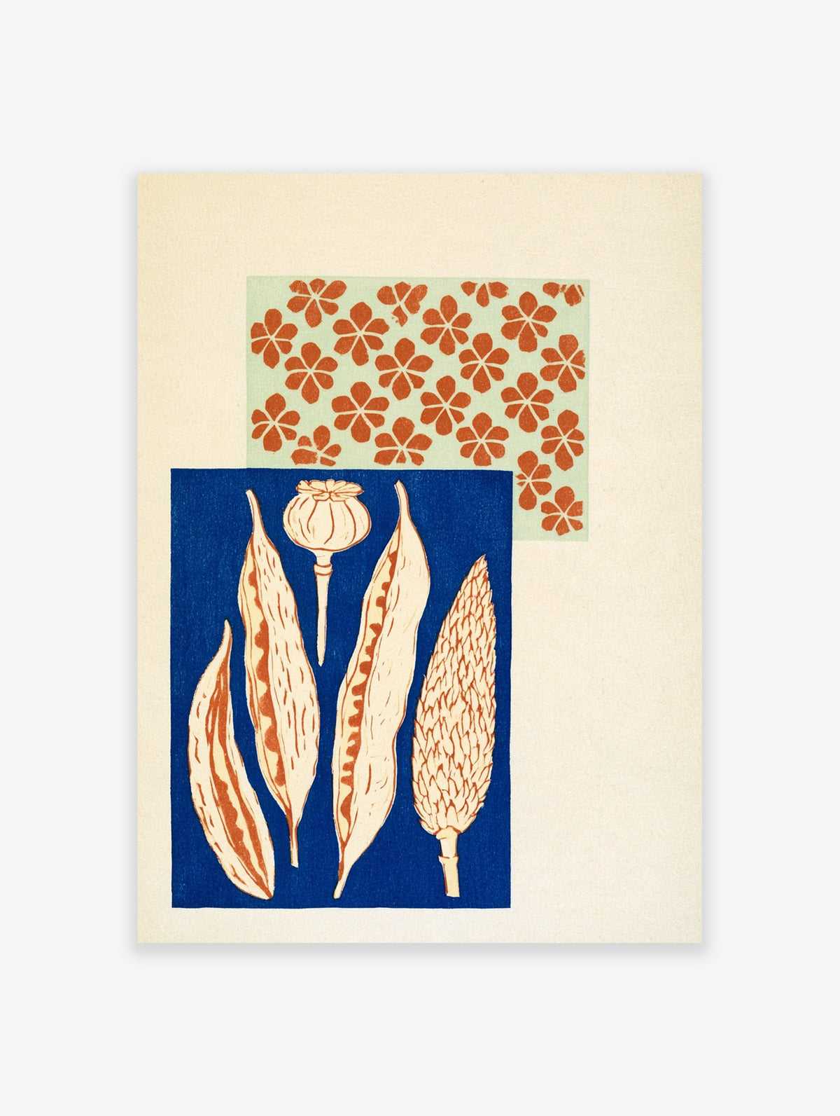 Botanical poppy print with seed pods and floral pattern on blue and green background