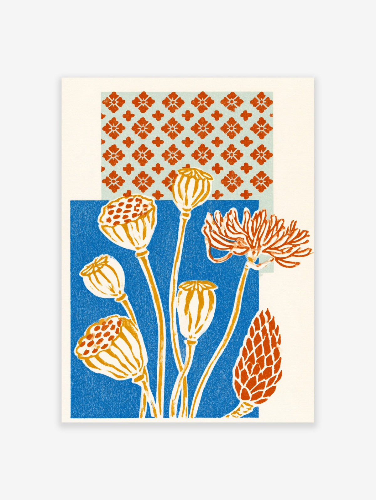 Botanical poppy illustration with seed pods and flower in orange and ochre on a blue background with a pattern above